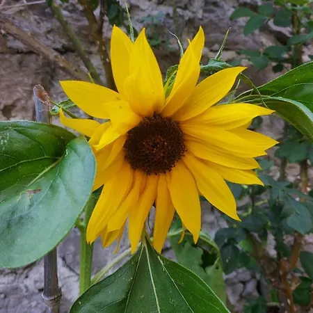 Our Happy Place - Per Il Viaggiatore Slow מנדלו דל לאריו