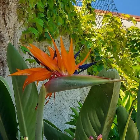 בית נופש Our Happy Place - Per Il Viaggiatore Slow מנדלו דל לאריו