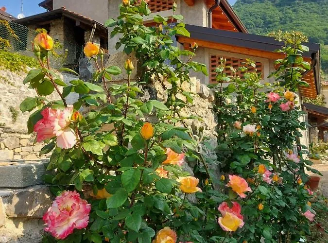 Tatil Evi Our Happy Place - Per Il Viaggiatore Slow Mandello del Lario